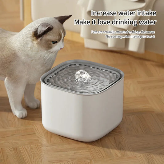 Pet Water Fountain