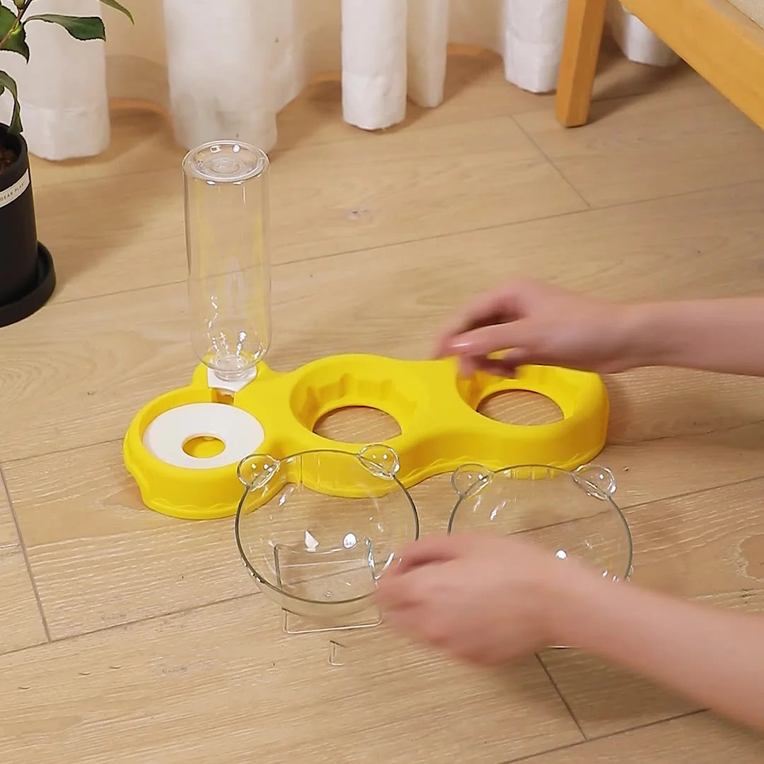 Pet feeder 3 in 1