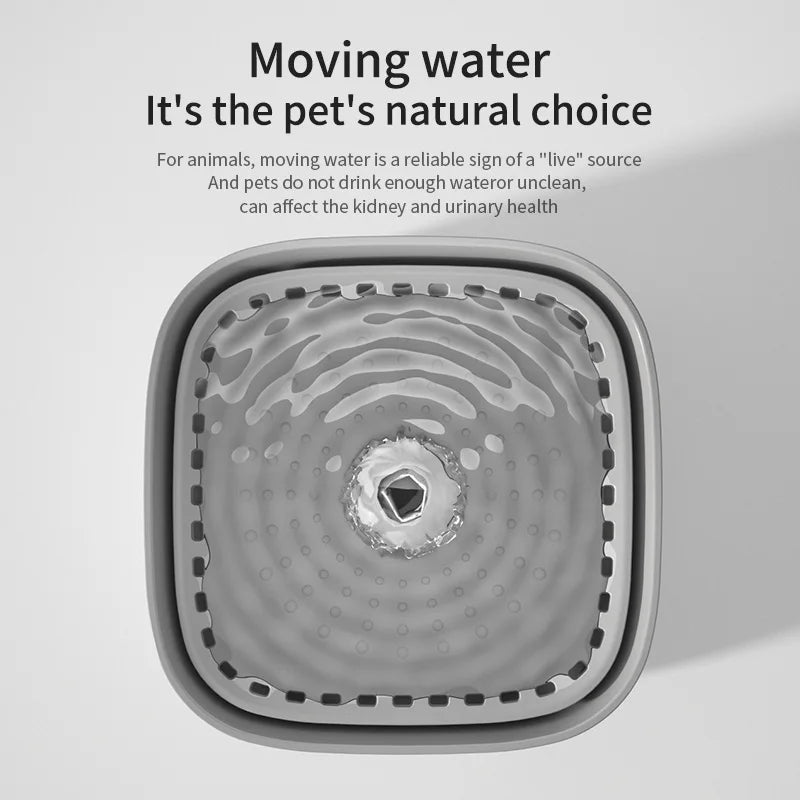 Pet Water Fountain