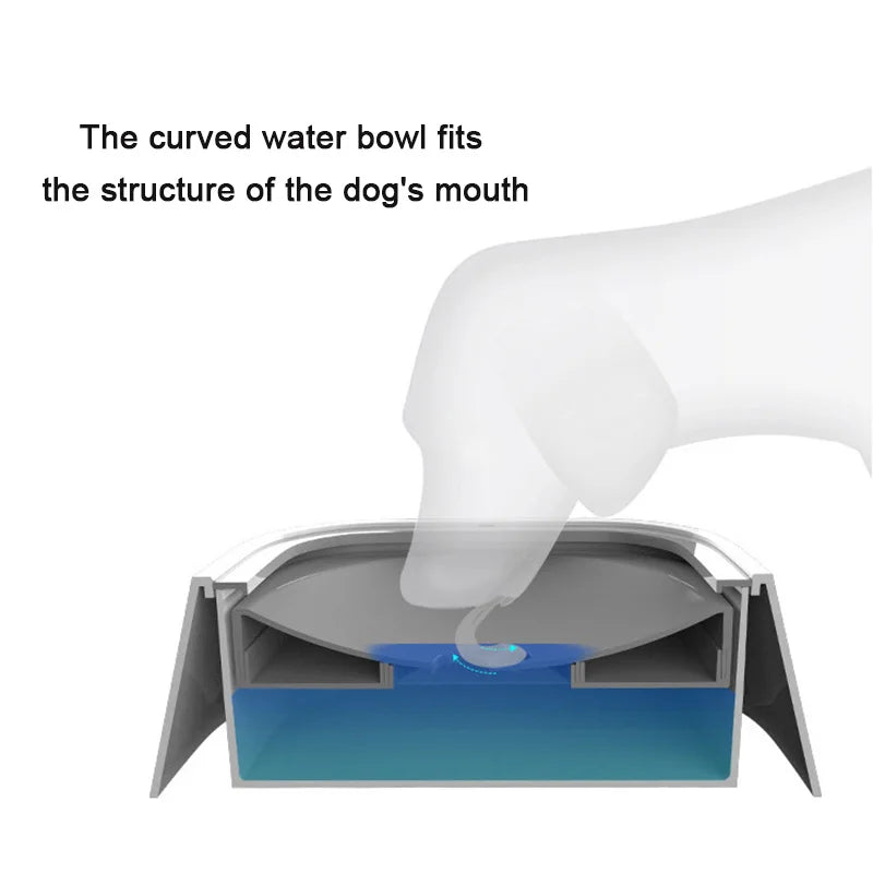 Pet Water Bowl